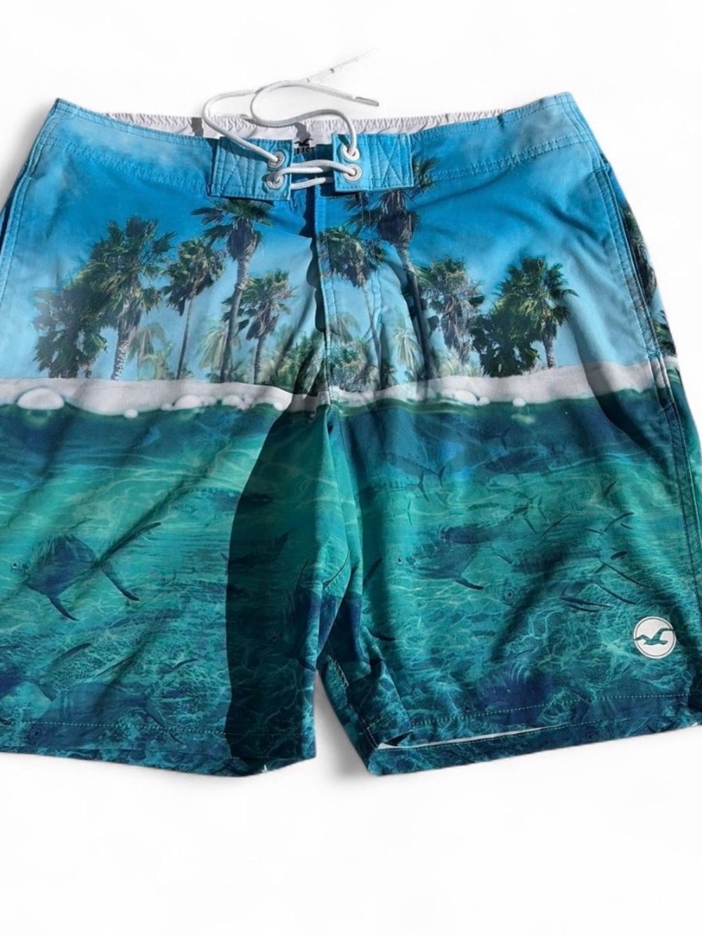 HOLLISTER Men's Teal Palm Print Swim Trunks Sz 32 gently pre owned